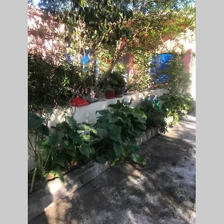 Holiday home Rose House